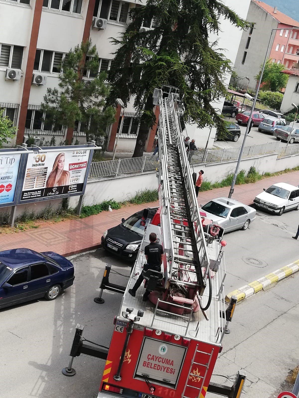 Kargadan kaçan yavru kedi ağaçta mahsur kaldı