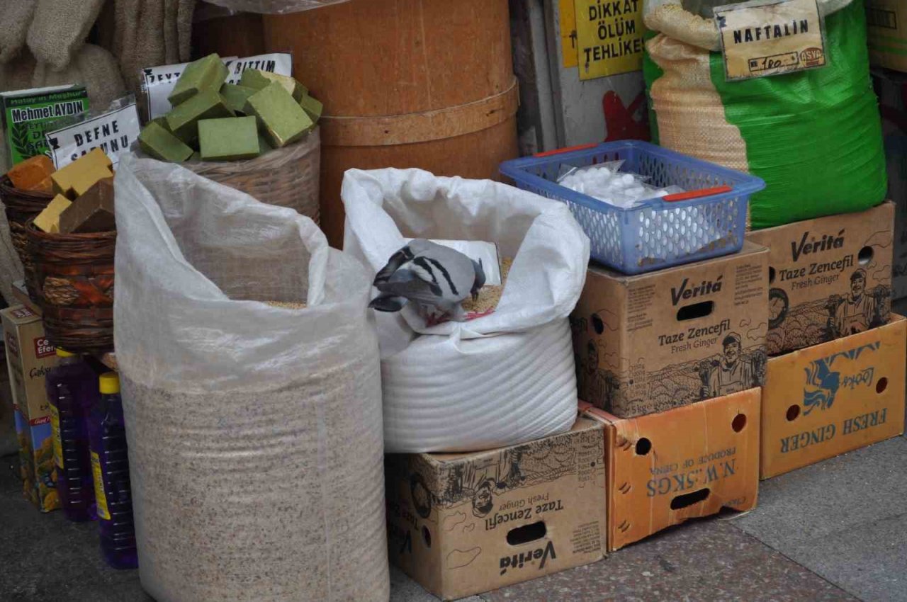 Fırsattan istifade eden güvercinler karınlarını doyurdu