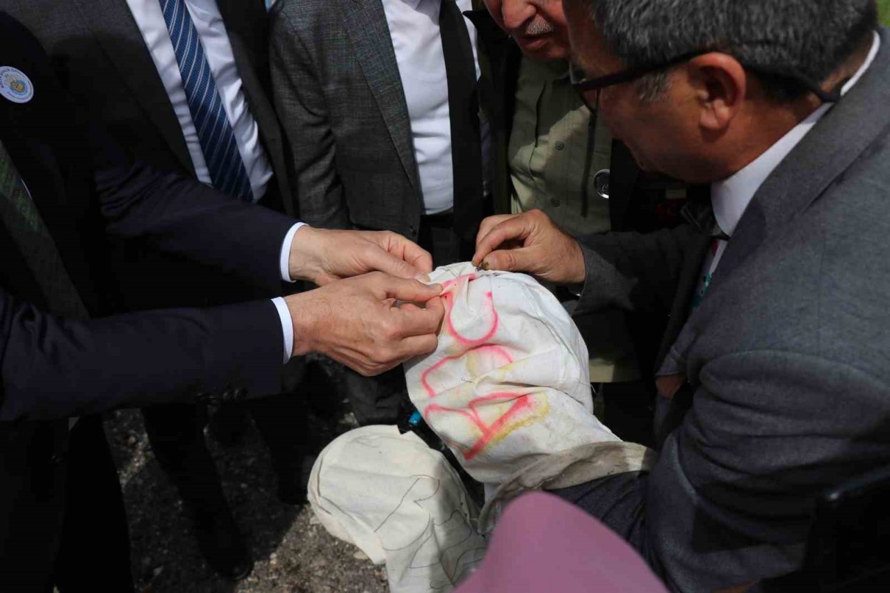 Öğrenciler hiç görmedikleri böcekleri aparatlarla topladı