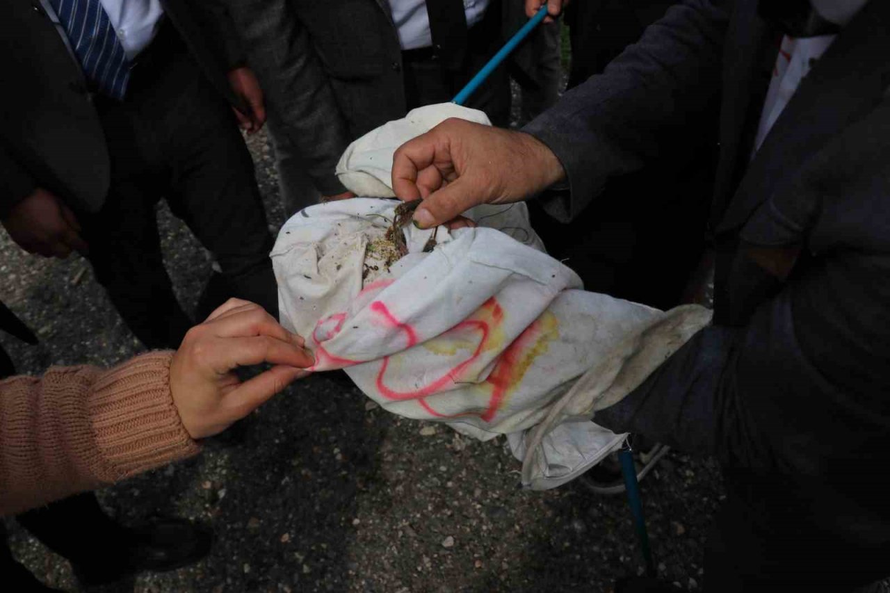 Öğrenciler hiç görmedikleri böcekleri aparatlarla topladı