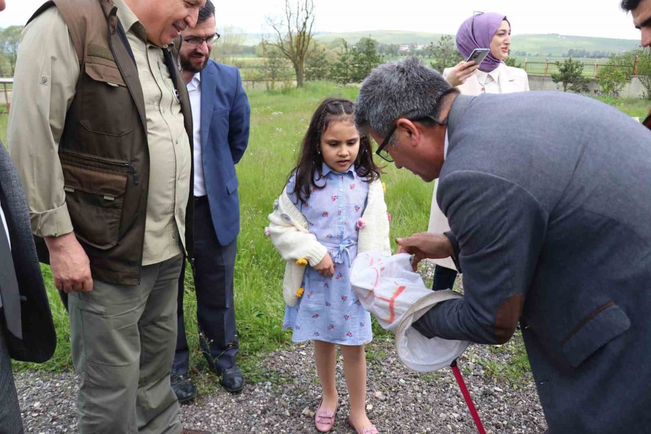 Öğrenciler hiç görmedikleri böcekleri aparatlarla topladı