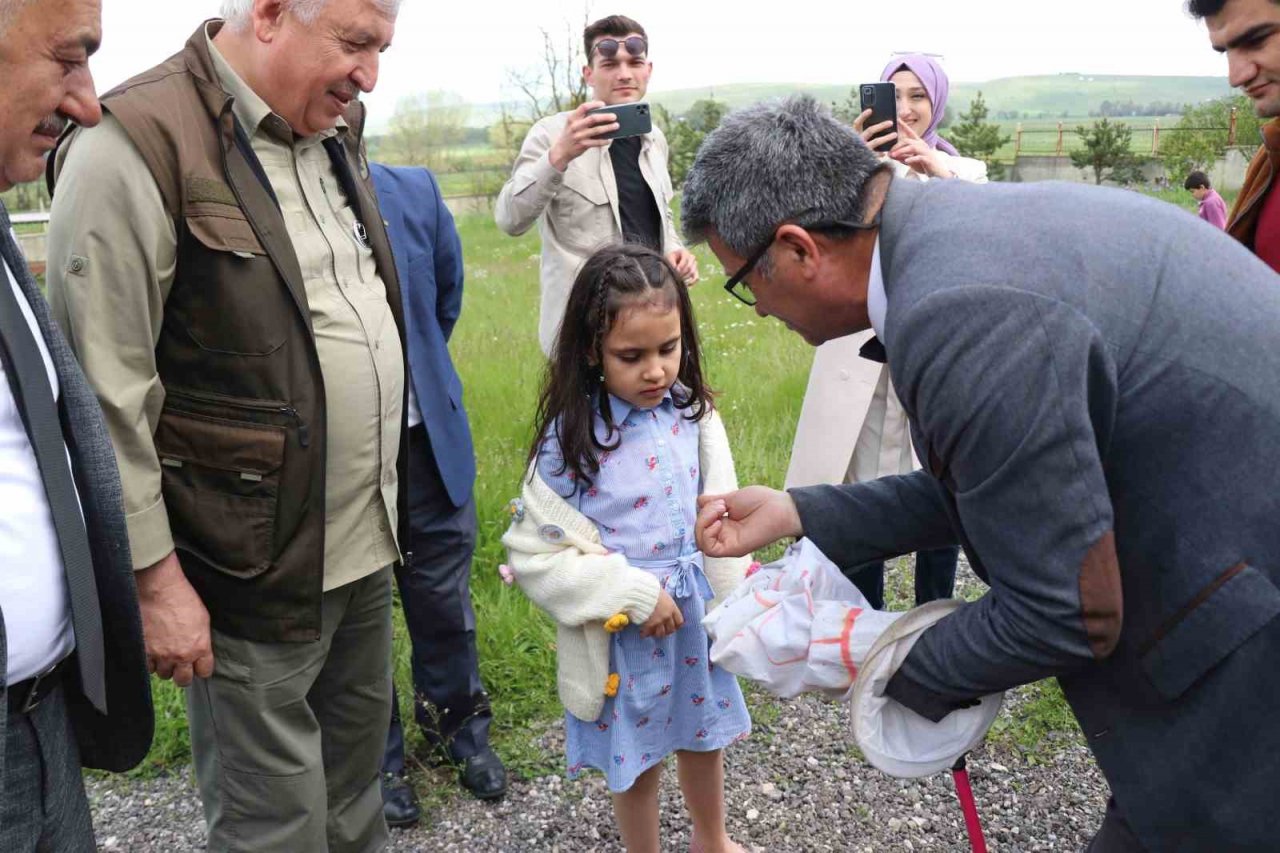 Öğrenciler hiç görmedikleri böcekleri aparatlarla topladı
