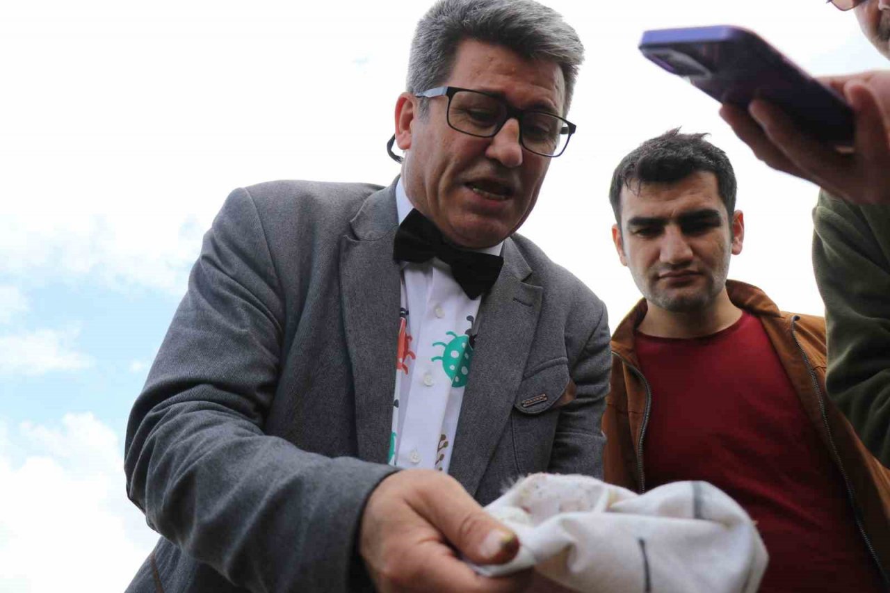 Öğrenciler hiç görmedikleri böcekleri aparatlarla topladı