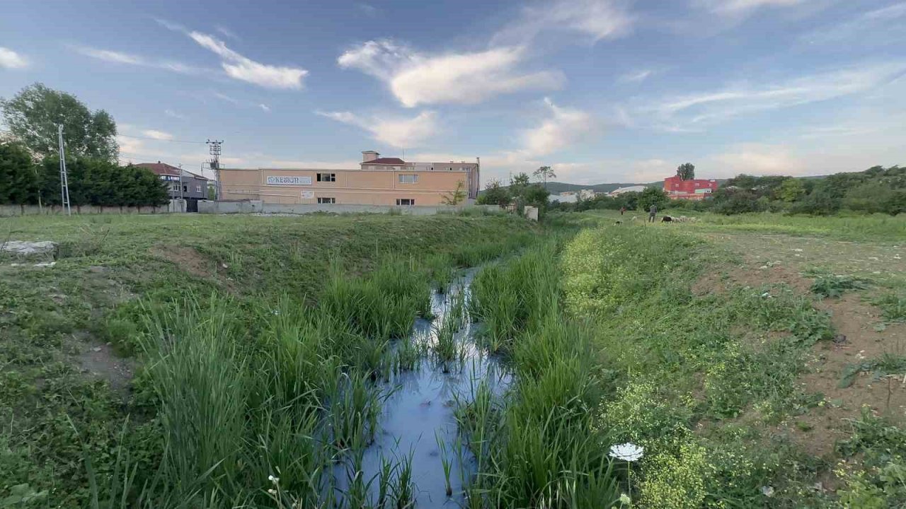 Arnavutköy’de iddiaya göre fabrikalardan atılan kimyasal madde derenin rengini değiştirdi