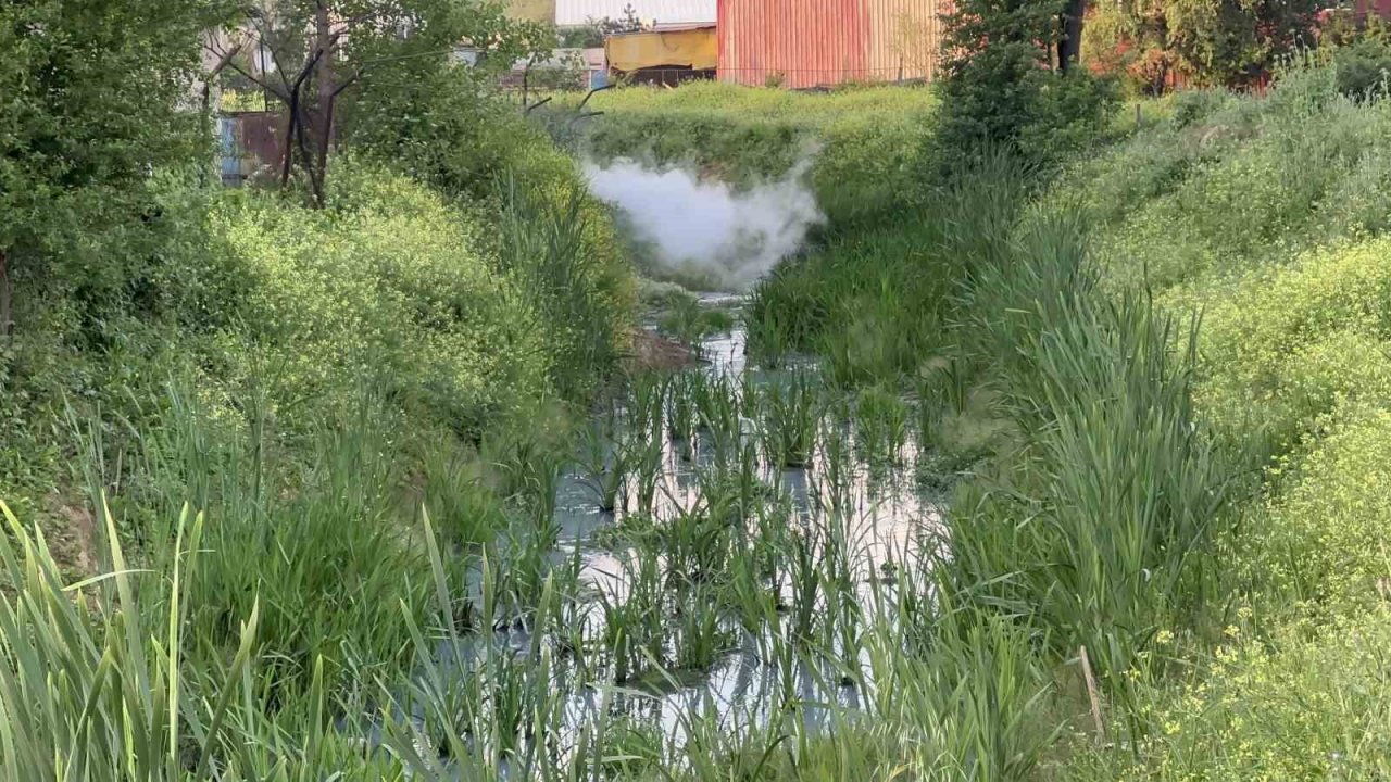Arnavutköy’de iddiaya göre fabrikalardan atılan kimyasal madde derenin rengini değiştirdi