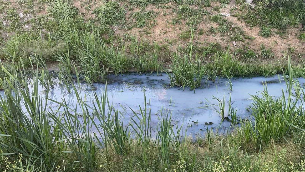 Arnavutköy’de iddiaya göre fabrikalardan atılan kimyasal madde derenin rengini değiştirdi