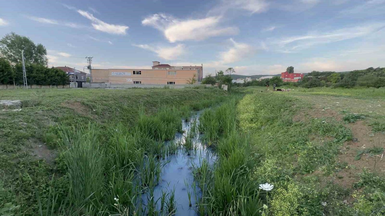 Arnavutköy’de iddiaya göre fabrikalardan atılan kimyasal madde derenin rengini değiştirdi