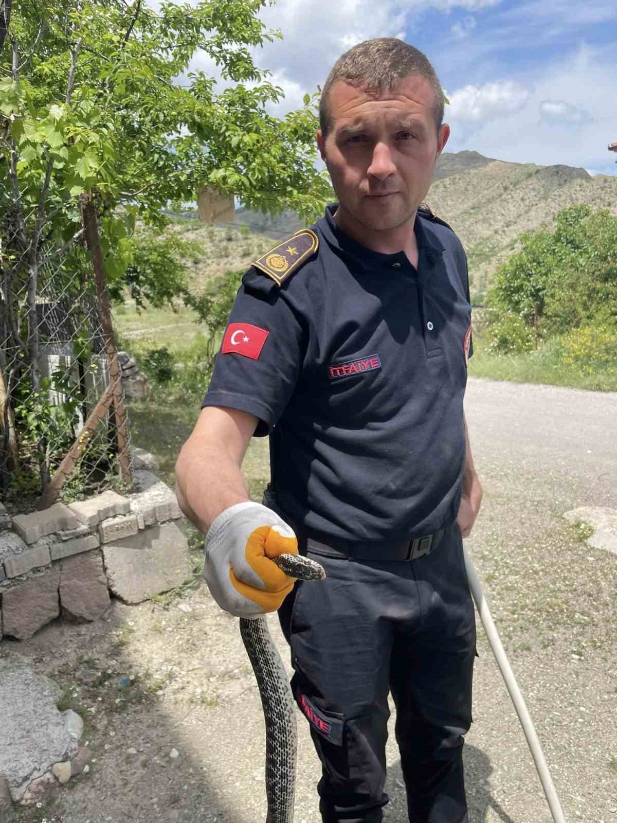 Apartmana giren yılanı itfaiye ekipleri yakaladı