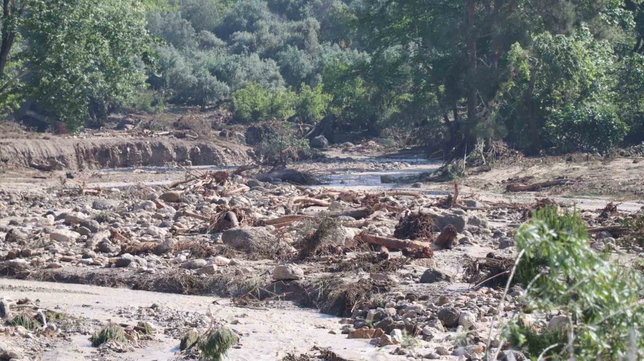 Selin vurduğu Denizli’de acı tablo gün ağarınca ortaya çıktı