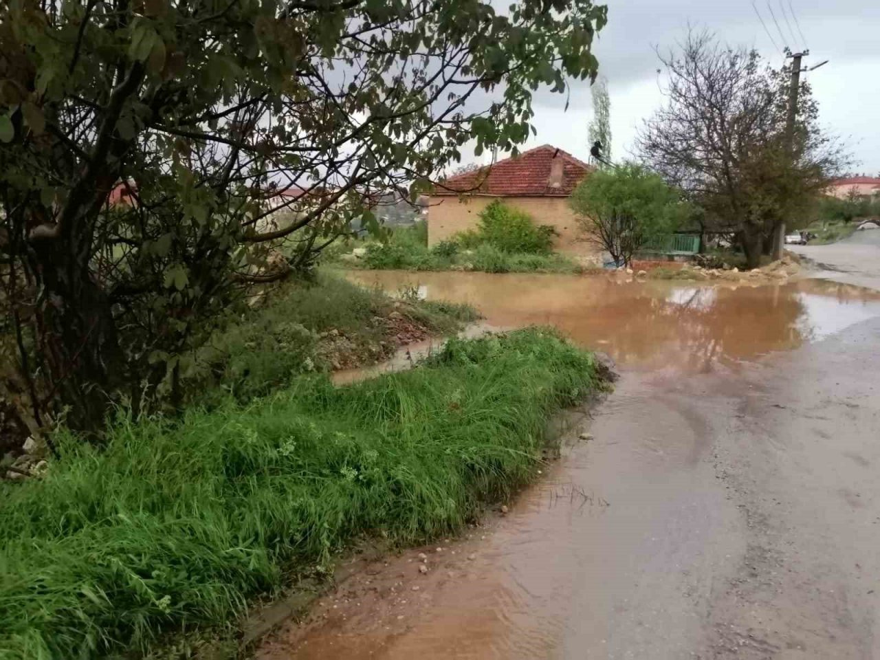 Selden geriye çamur kaldı