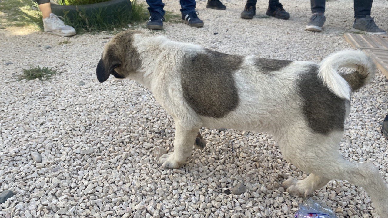 Canlı yayında sürpriz misafir