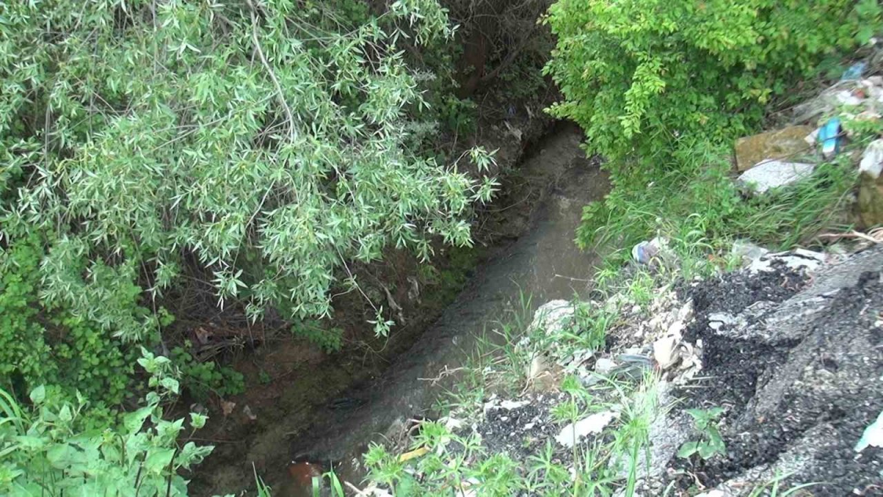Çöp atmak isterken dereye düşen kadını itfaiye ekipleri kurtardı