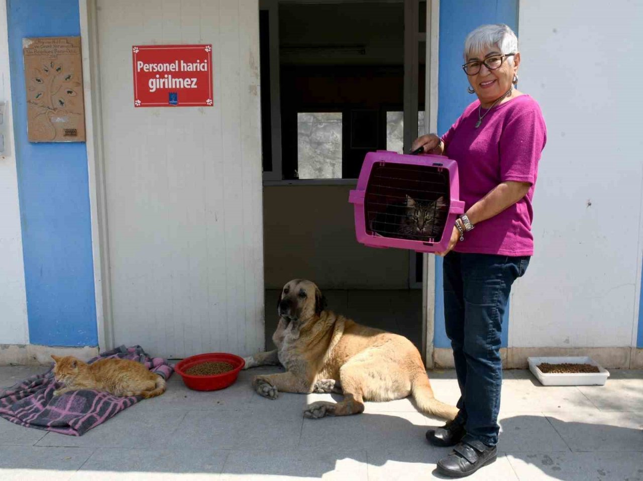 Kuşadası’nda sahipsiz can dostların ihtiyaçları ücretsiz karşılanıyor