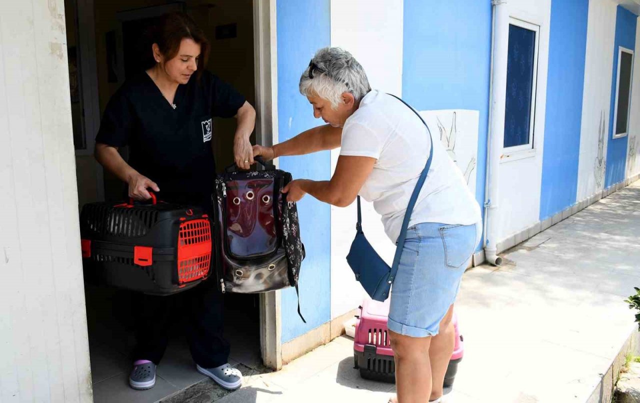 Kuşadası’nda sahipsiz can dostların ihtiyaçları ücretsiz karşılanıyor