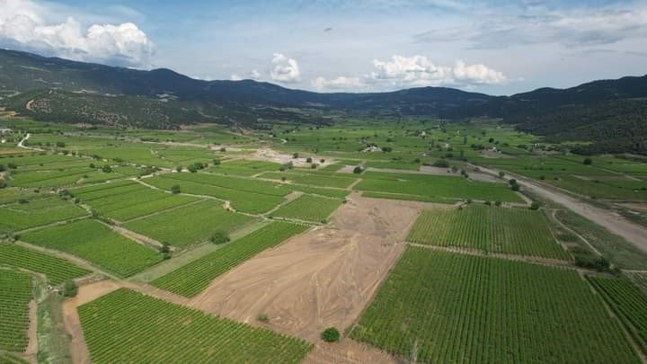 Selin vurduğu Sarıgöl’de hasar tespit çalışmaları başladı