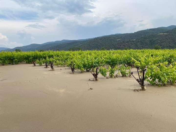Sarıgöl Ovasını sel vurdu