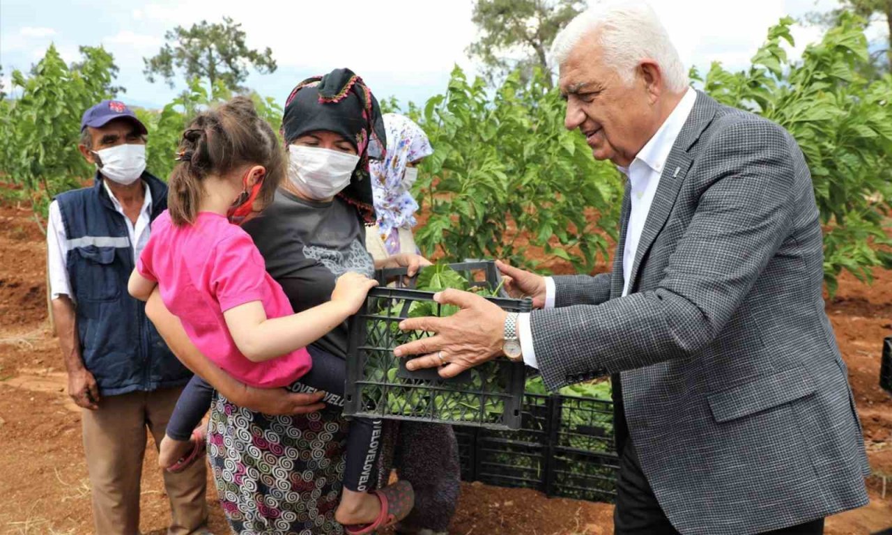 Muğla Büyükşehir’in desteği ile İpekböcekçiliği gelişiyor