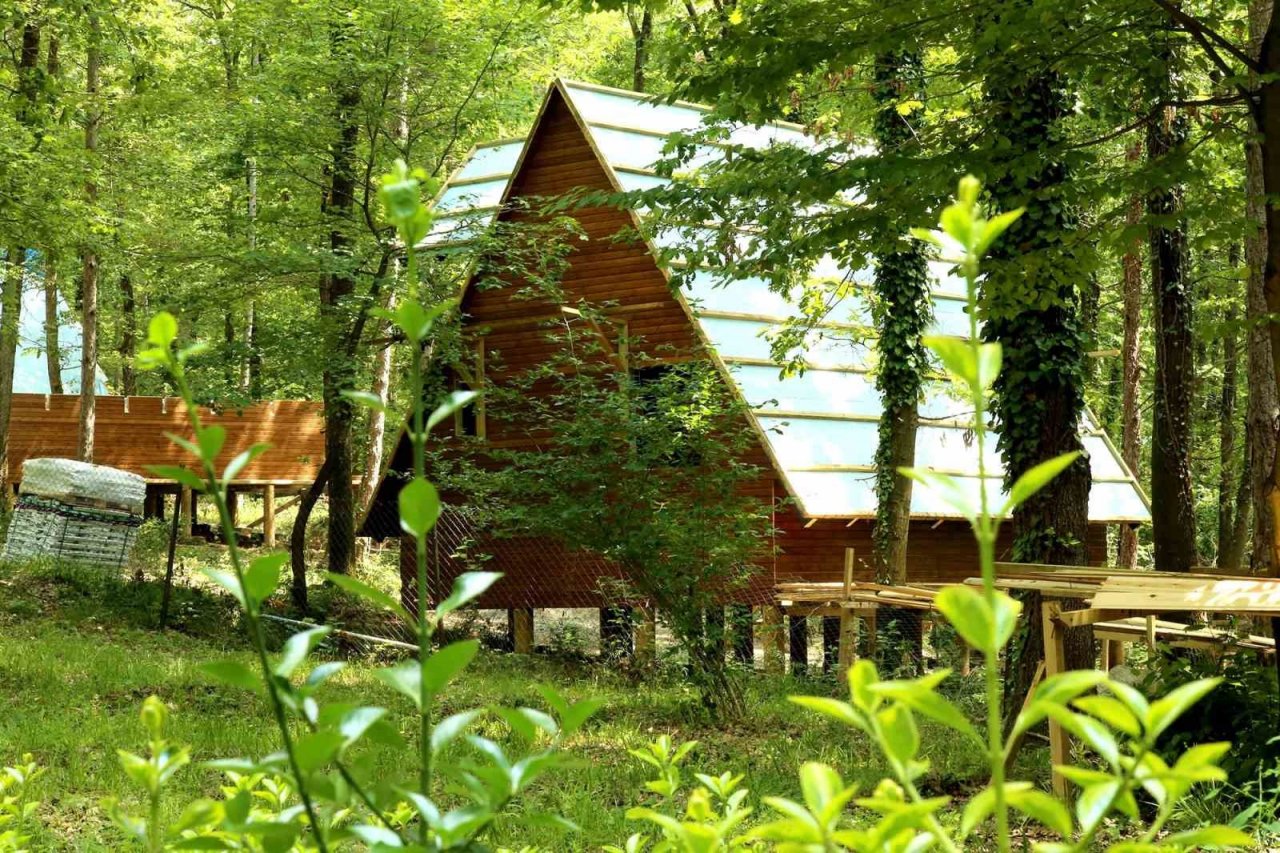 Sakarya Büyükşehir’in bungalovları doğaya renk kattı: 4 tanesi tamam