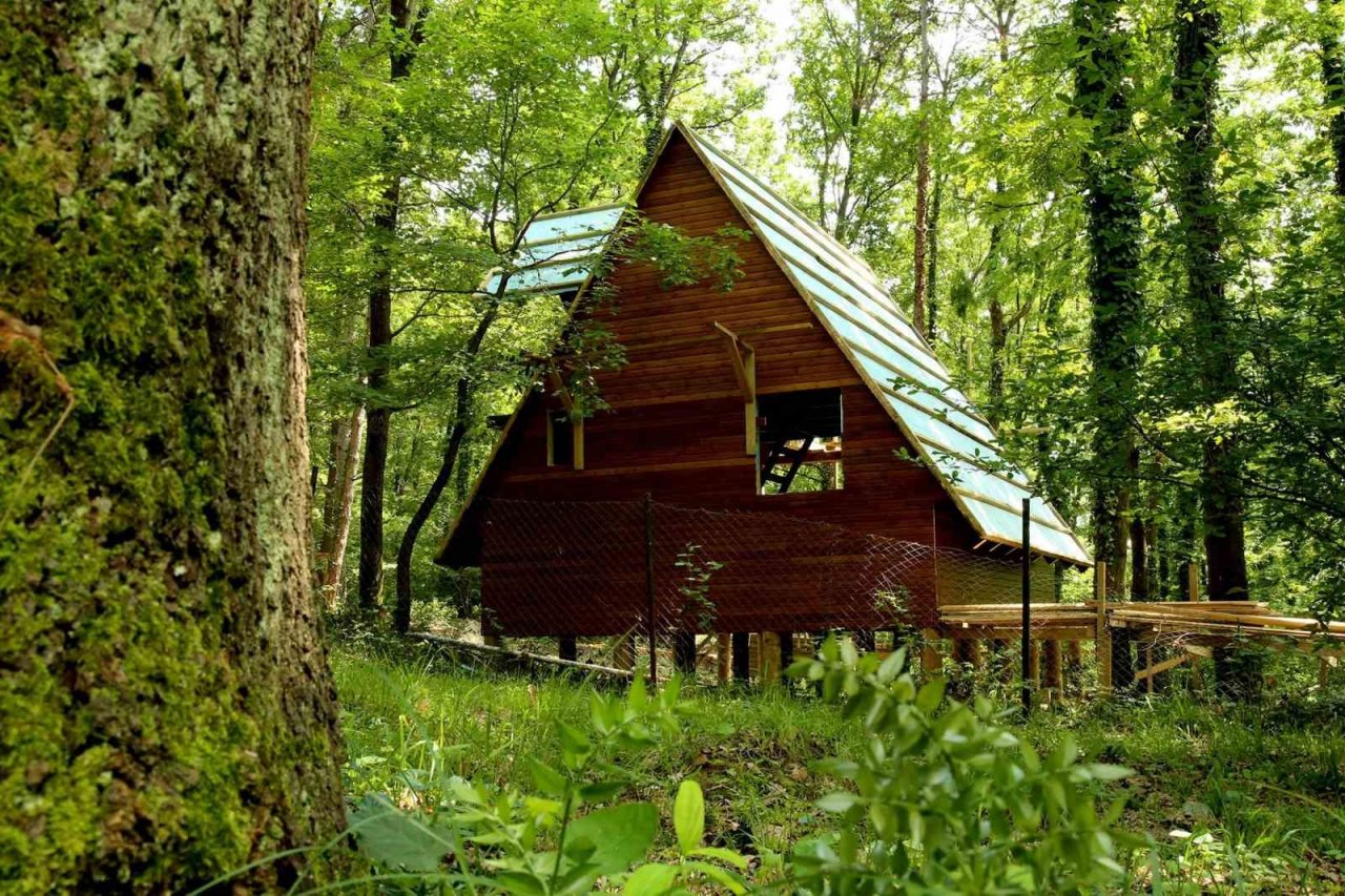 Sakarya Büyükşehir’in bungalovları doğaya renk kattı: 4 tanesi tamam