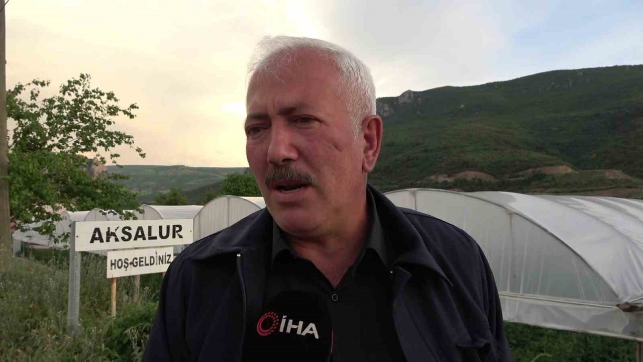 Amasya’da köylülerin kabusu olan çakal fotokapanda: “Çakal kardeş yakamızı bırak”