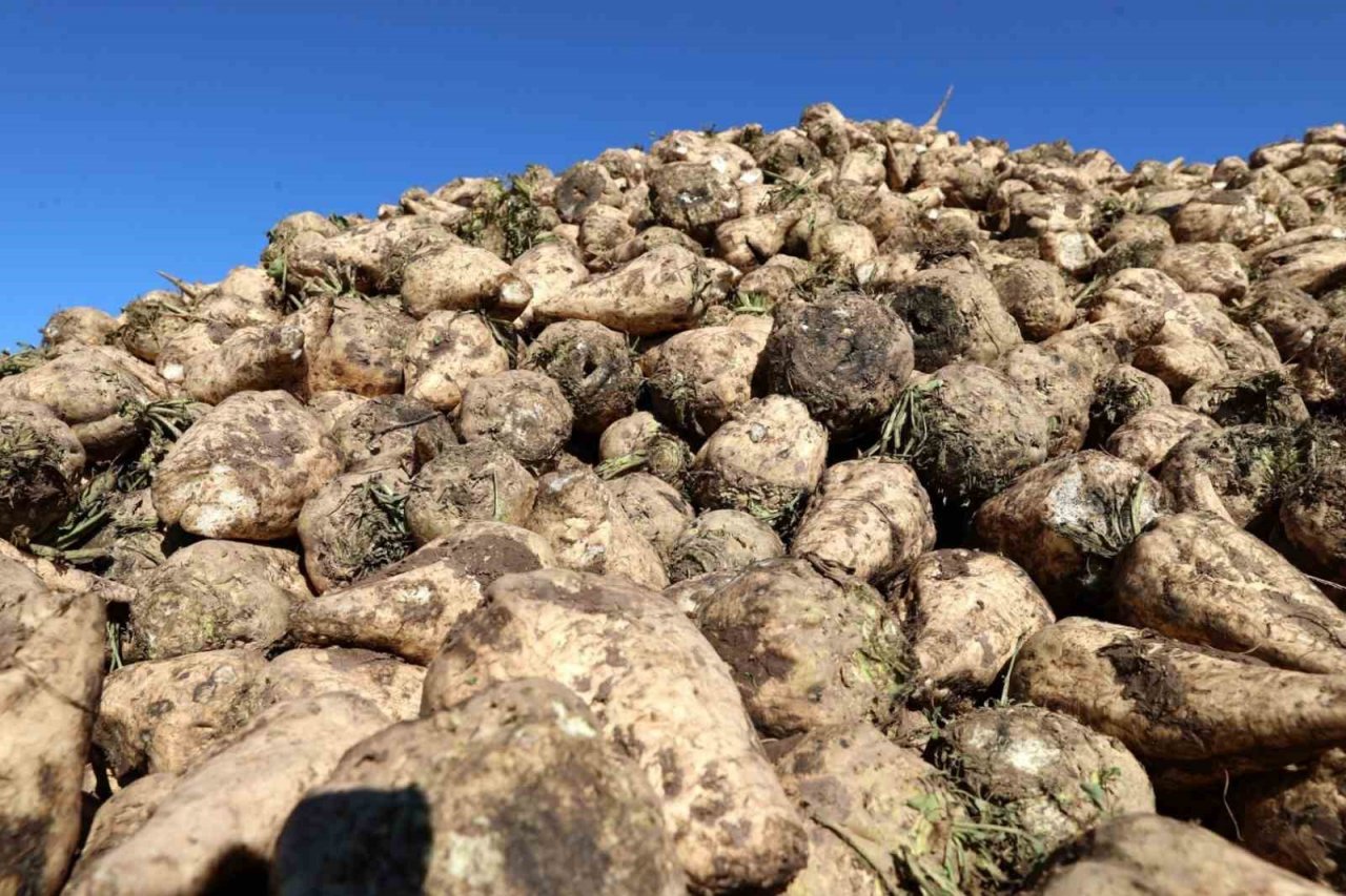 Barajlar doldu taştı, ekim yasakları kaldırıldı