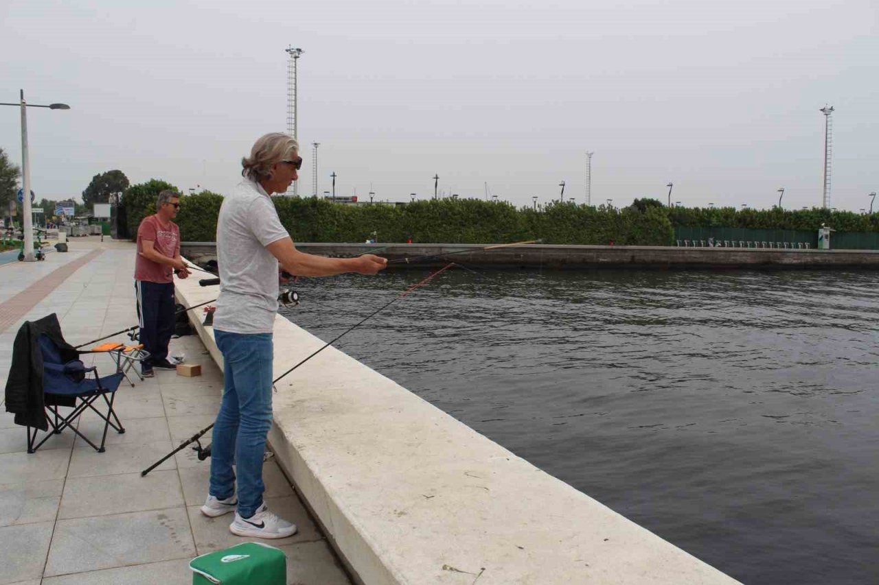 İzmir Körfezi can çekişiyor