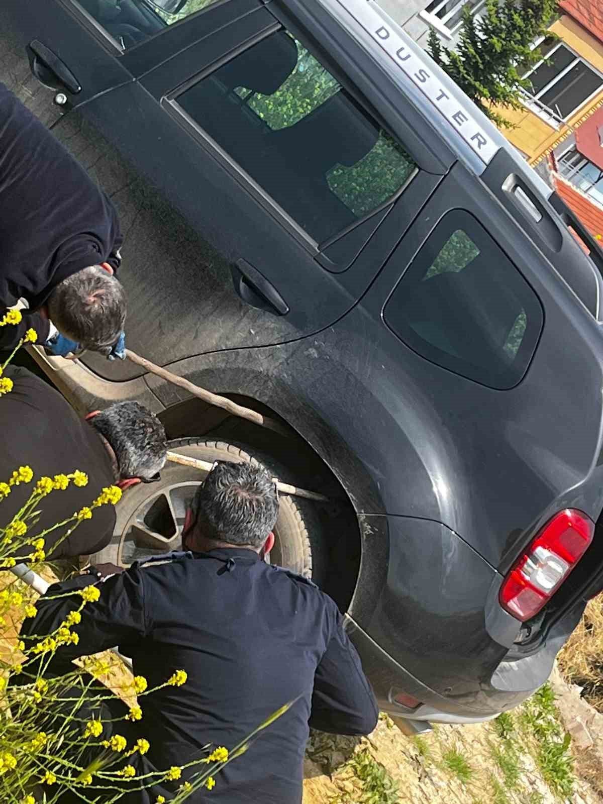 Bozüyük Belediyesi itfaiyesinden başarılı yılan operasyonu