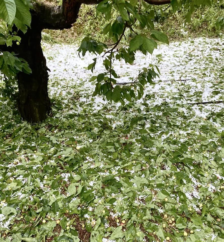 Kuraklıktan endişe eden çiftçiyi dolu ve yağışlar vurdu
