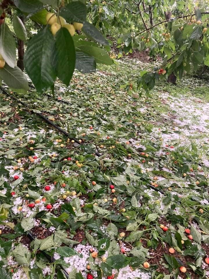 Kuraklıktan endişe eden çiftçiyi dolu ve yağışlar vurdu