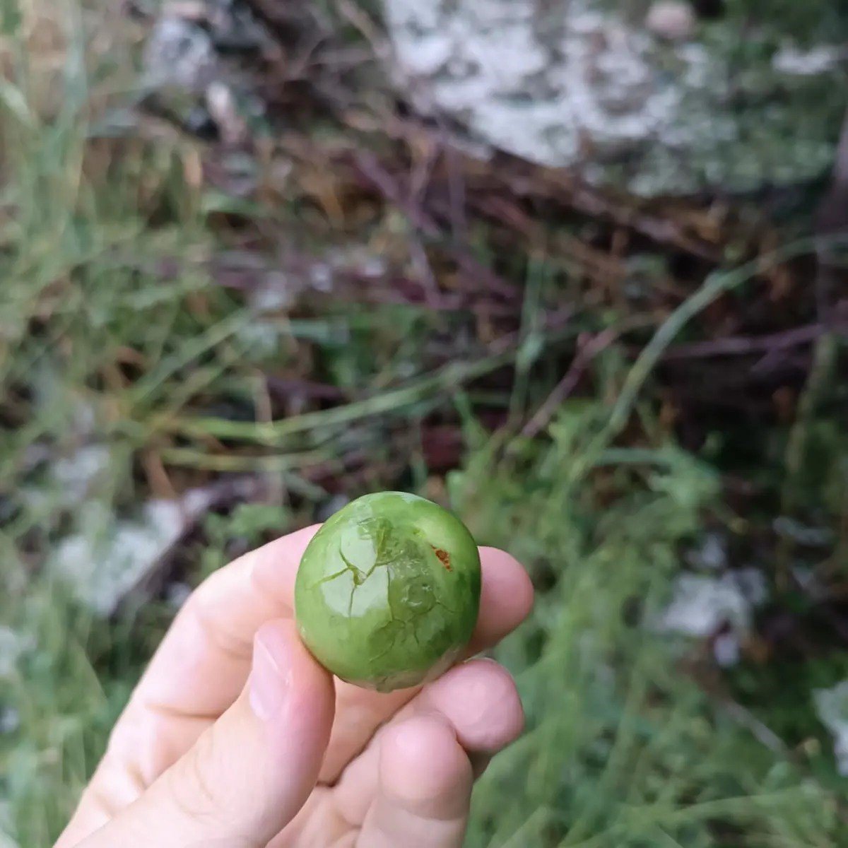 Kuraklıktan endişe eden çiftçiyi dolu ve yağışlar vurdu