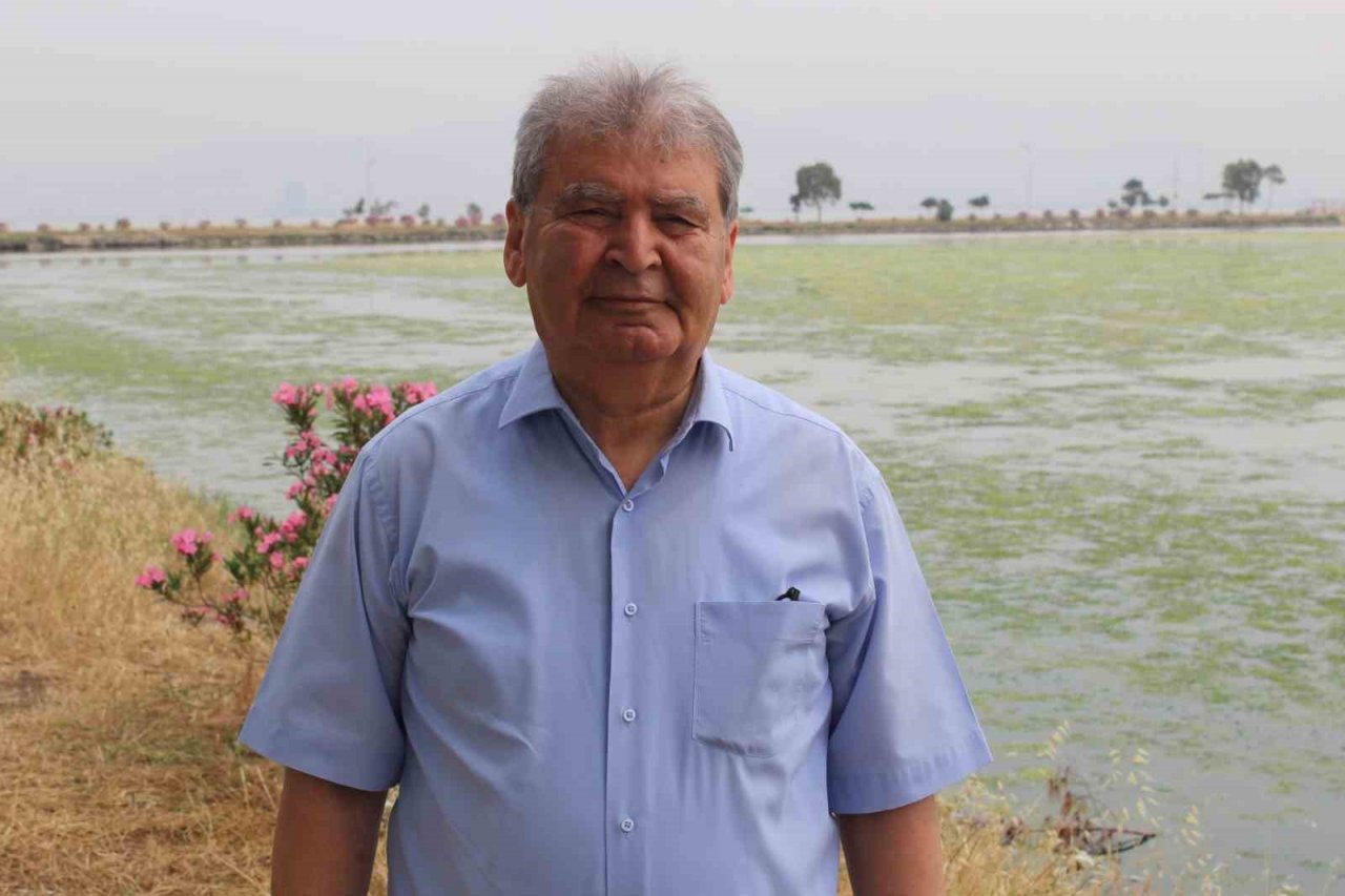 İzmir Körfezi can çekişiyor