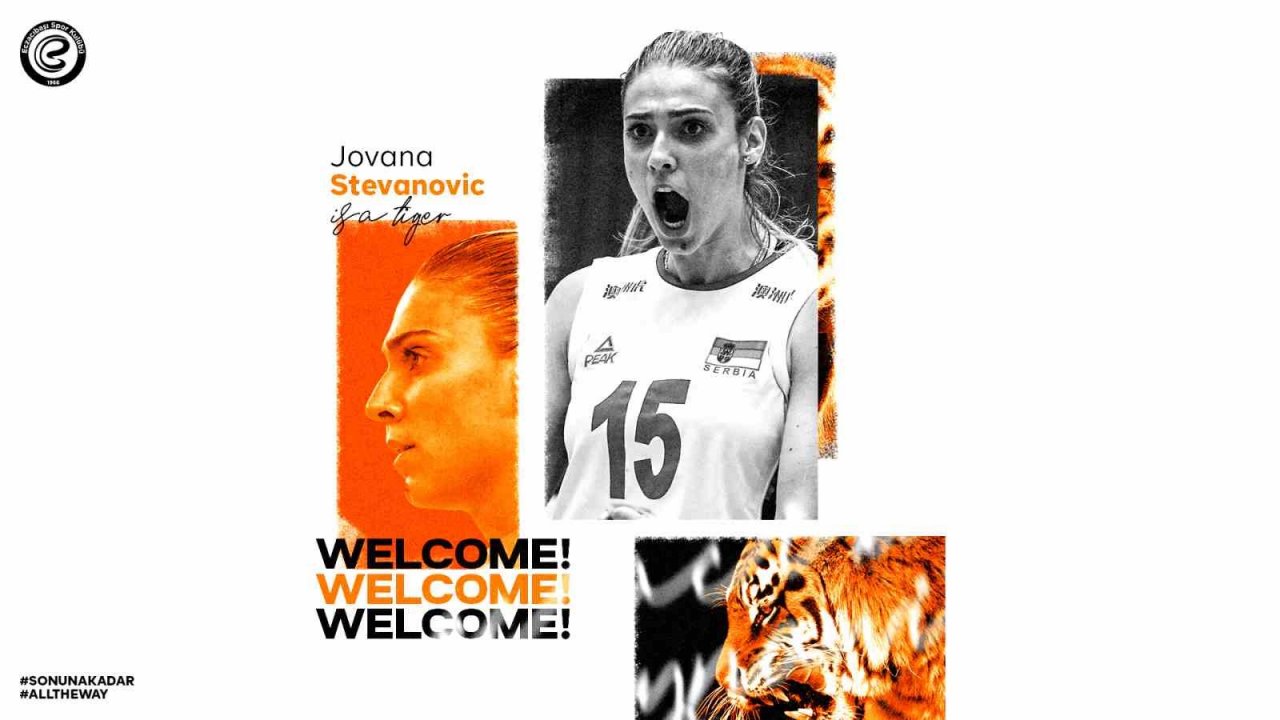 Jovana Stevanovic, Eczacıbaşı Dynavit’te