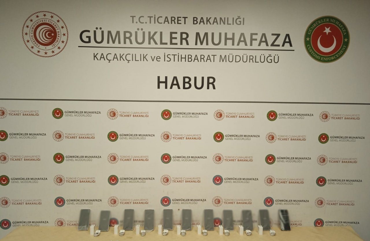 Habur Sınır Kapısı’nda bin 250 paket kaçak sigara ele geçirildi