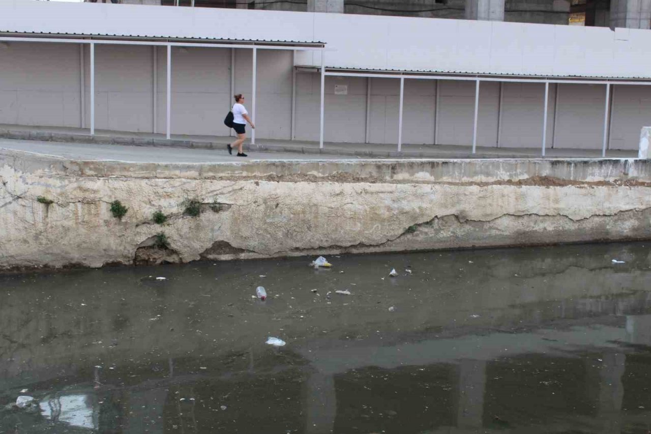 İzmir Körfezi can çekişiyor