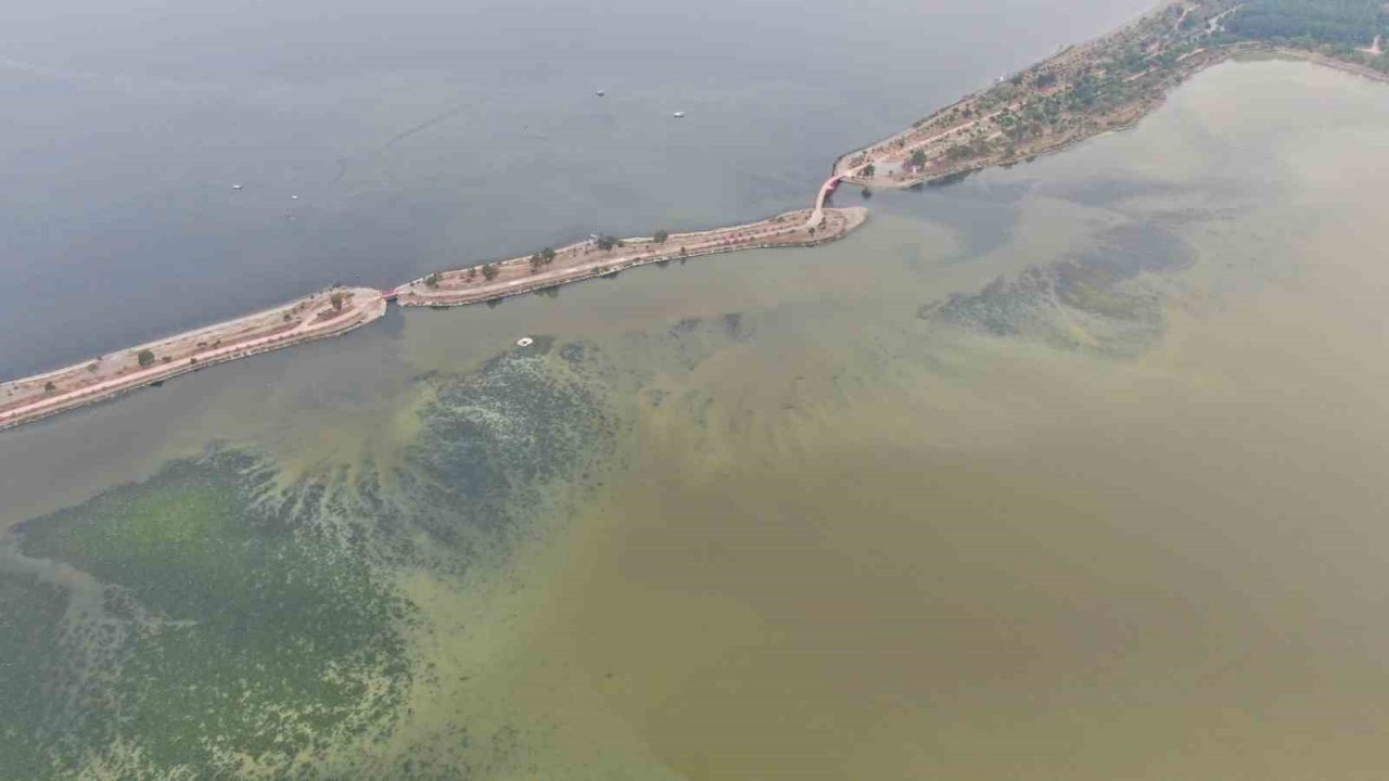 İzmir Körfezi can çekişiyor