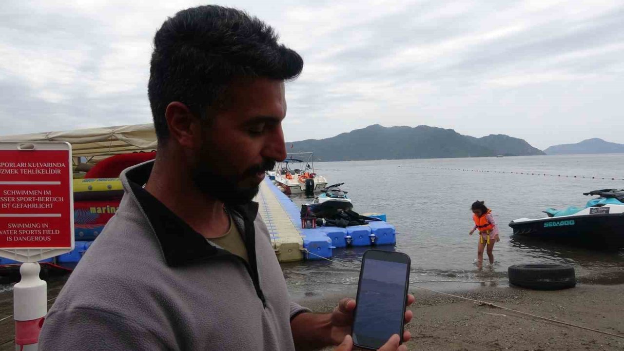 29 yıl sonra iç sularda tekrar görüldü