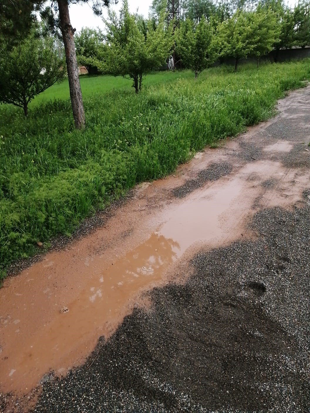 Sağanak sele dönüştü, tarım arazileri zarar gördü