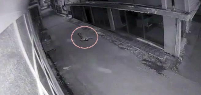 Sokak ortasında hayatını kaybetti