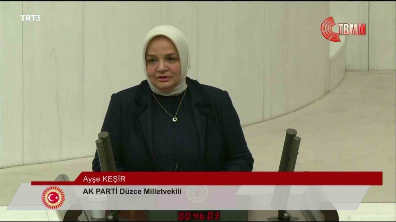 Düzceli vekiller mecliste yemin etti