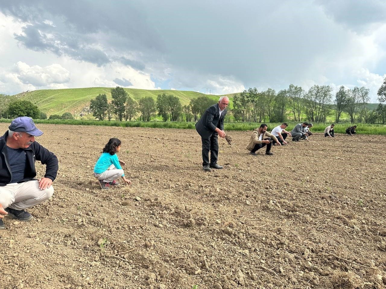 Yüksekova’da ayçiçeği ekimi