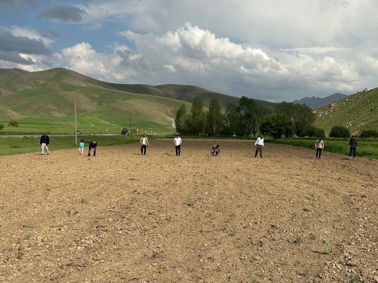 Yüksekova’da ayçiçeği ekimi