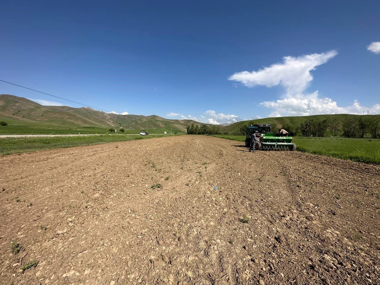 Yüksekova’da ayçiçeği ekimi