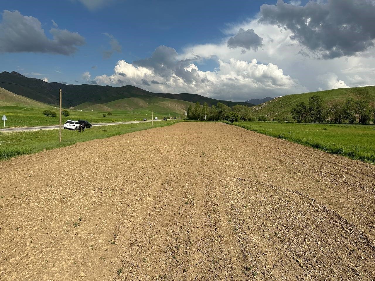 Yüksekova’da ayçiçeği ekimi