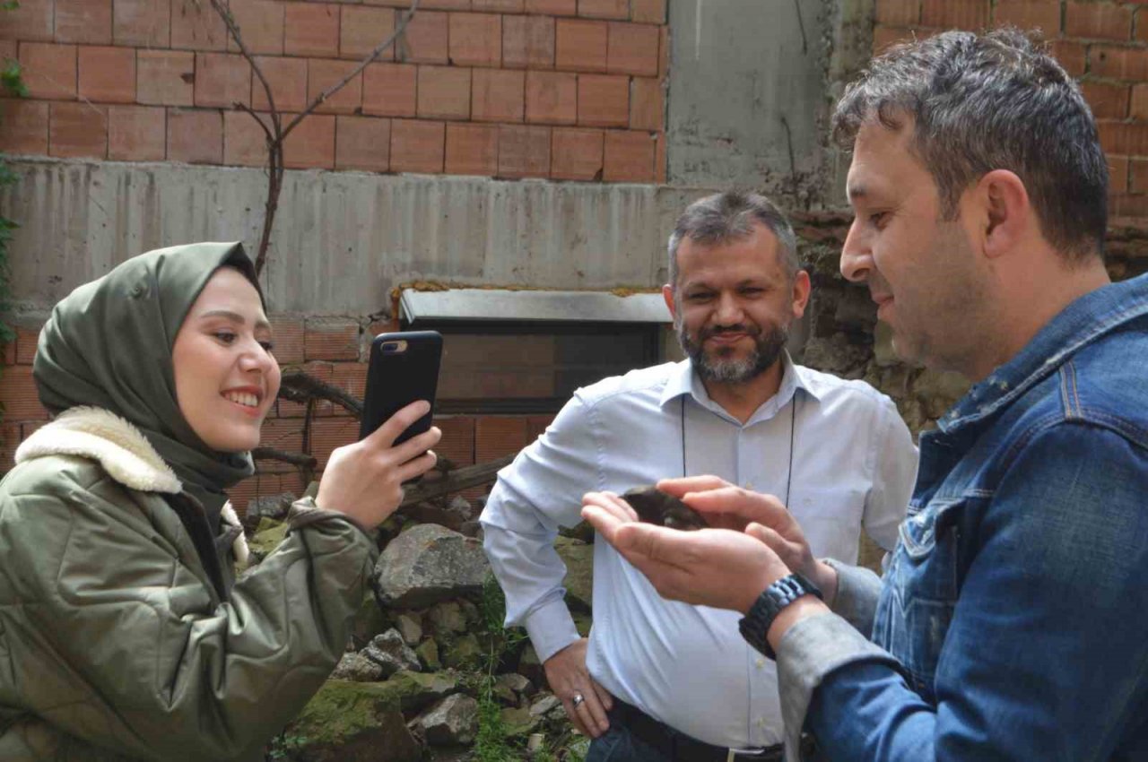 Ender görünen Ebabil kuşu iş yerine ikinci kez geldi