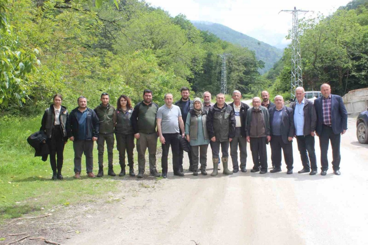 Kastamonu’da katil arılara karşı mücadele sürüyor