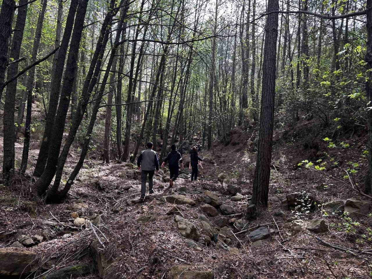 Marmarisli öğrenciler fotokapan kurup yangınlardan sonraki yaban hayatını inceliyor