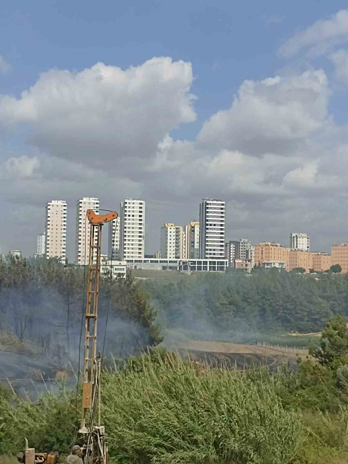 Adana’da anız yangını ağaçlara sıçradı