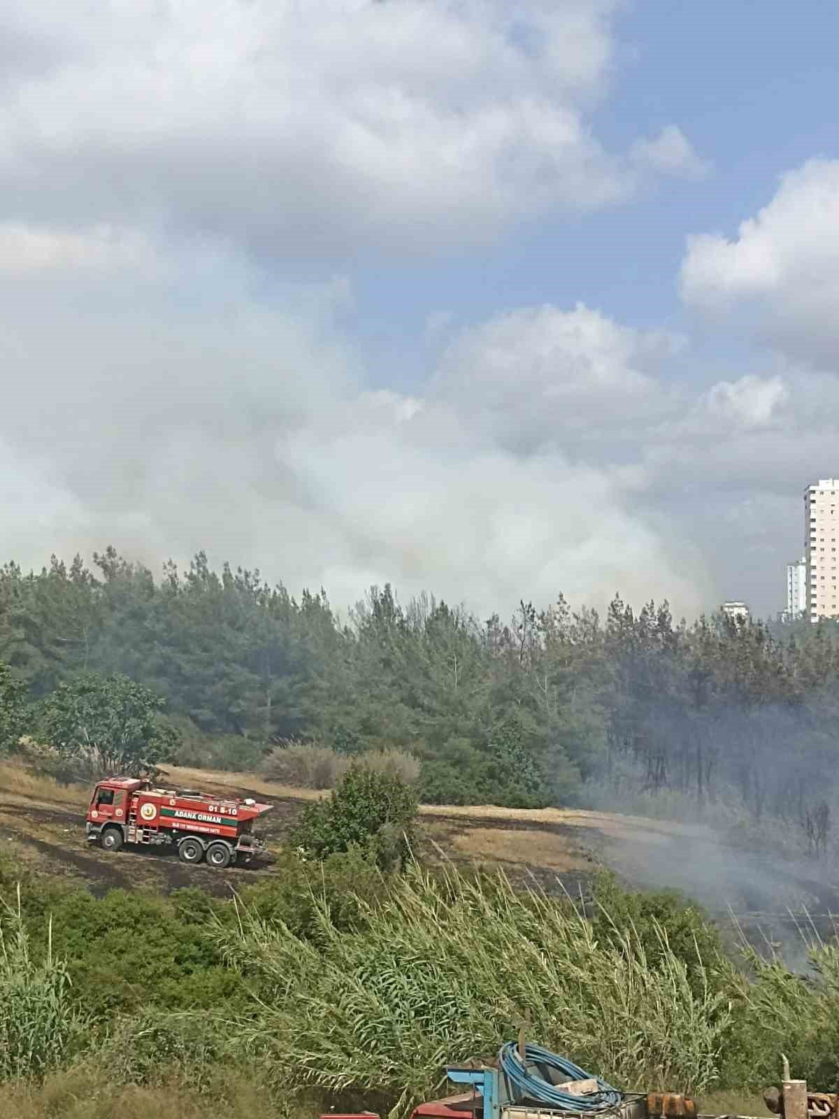 Adana’da anız yangını ağaçlara sıçradı