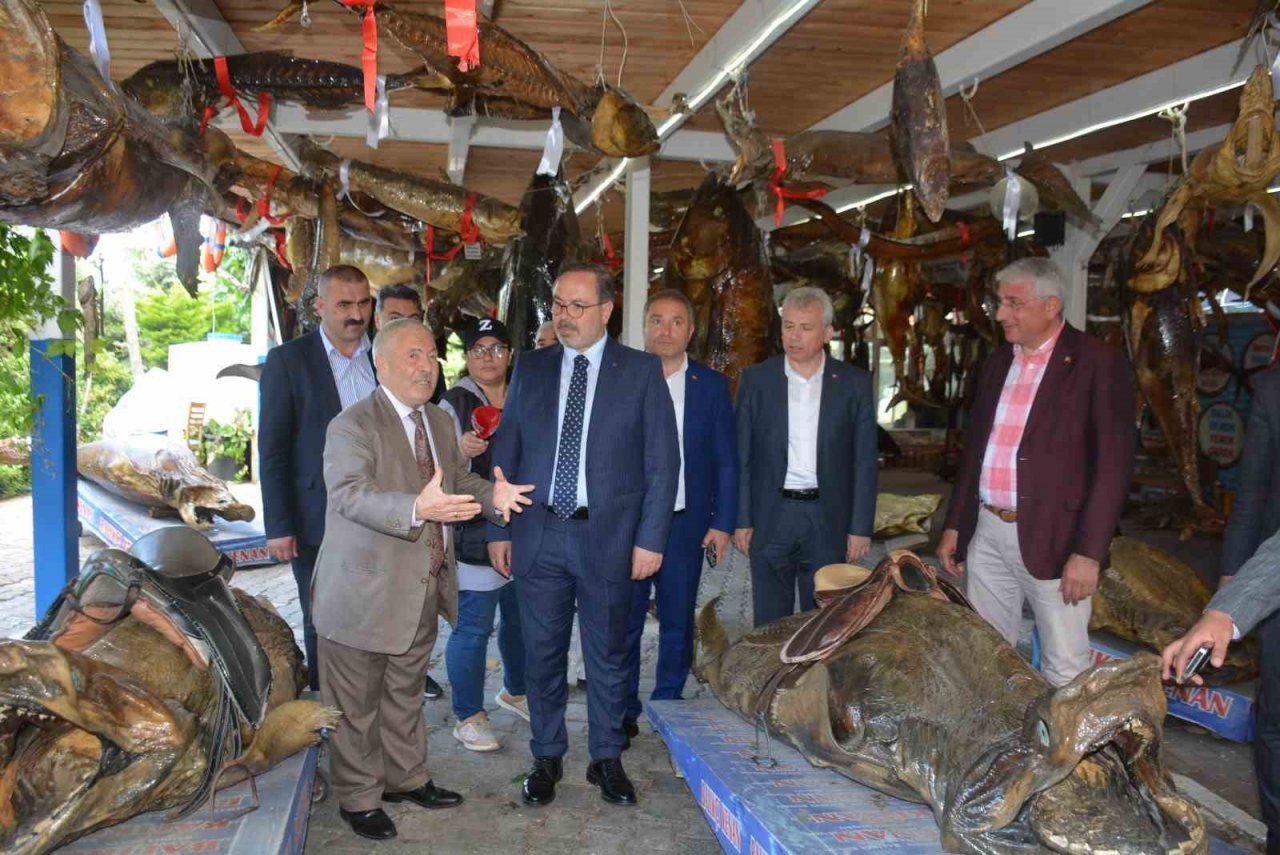 AK Parti Milletvekili Dalkılıç, Türkiye Deniz Canlıları Müzesi’nde