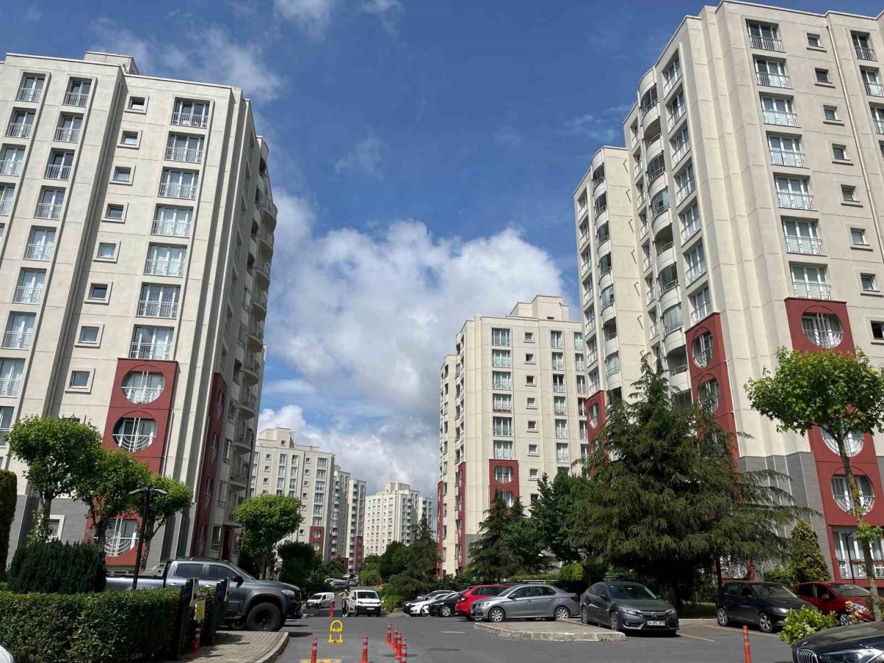 Başakşehir’de site yönetiminin kedileri toplayarak boş araziye attığı iddiası tepkiye neden oldu